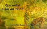 Quo Vadis?