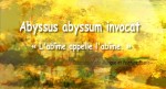 Abyssus abyssum invocat « L’abîme appelle l’abîme »