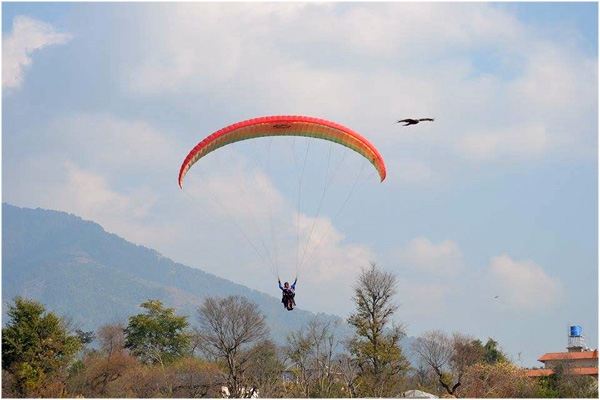 flying-with-eagles