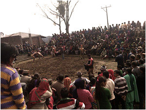 Holi fair