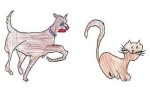 Nini et gros vilain minou – ACLJ Laval