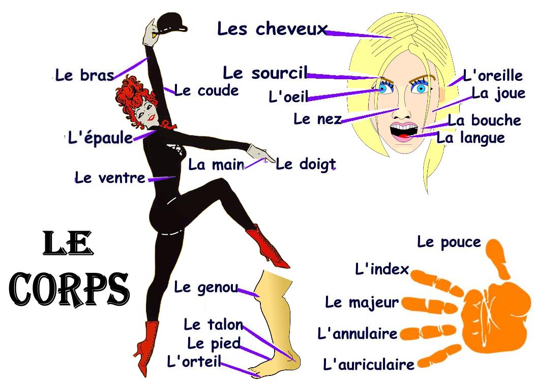 corps-fr